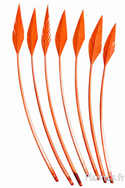 Schwan Pfeilform - 20-30 cm - lachsrosa